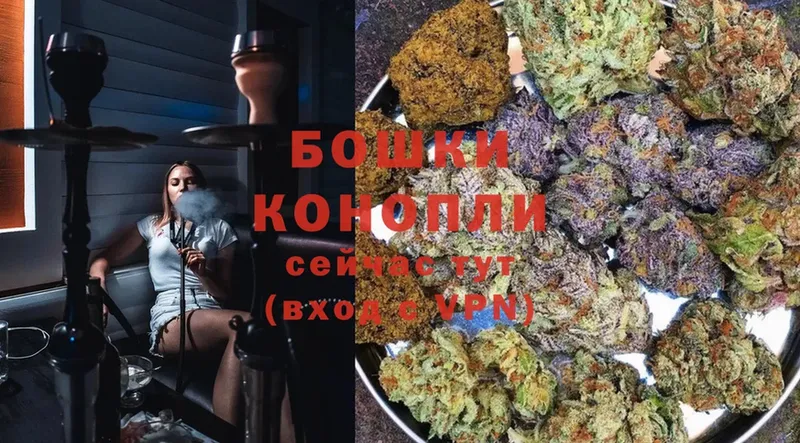 Конопля SATIVA & INDICA  Новая Ляля 